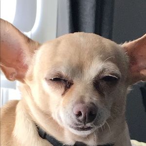 Meet your Posher, Johnathan